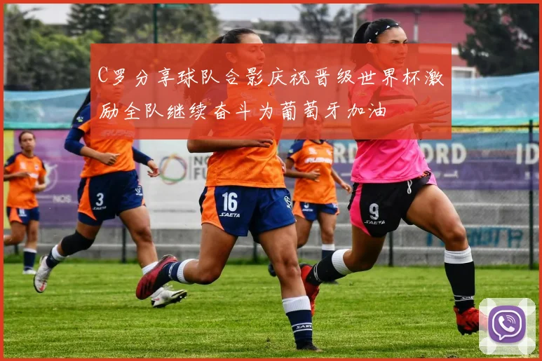 C罗分享球队合影庆祝晋级世界杯激励全队继续奋斗为葡萄牙加油
