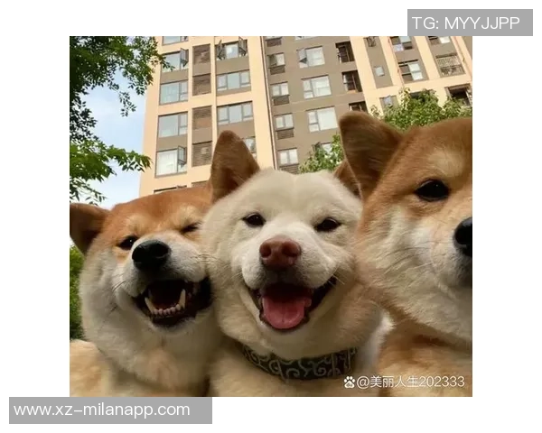 追梦时代的哈里森未能完整展现实力解雇他只是球队的借口与推脱 追梦时代的哈里森未能完整展现实力解雇他只是球队的借口与推脱